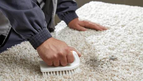 Professional Rug Cleaning Beaumaris