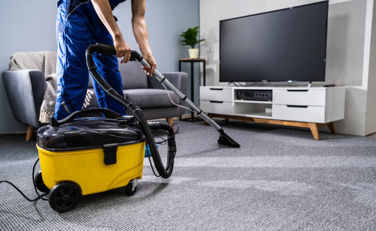 Extract Rug Cleaning Beaumaris Contact Office